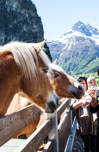 Holidays in Ötztal